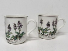 Tazza porcellana Villeroy & Boch Botanica caffè tè Veronica Officialis -SET DI 2