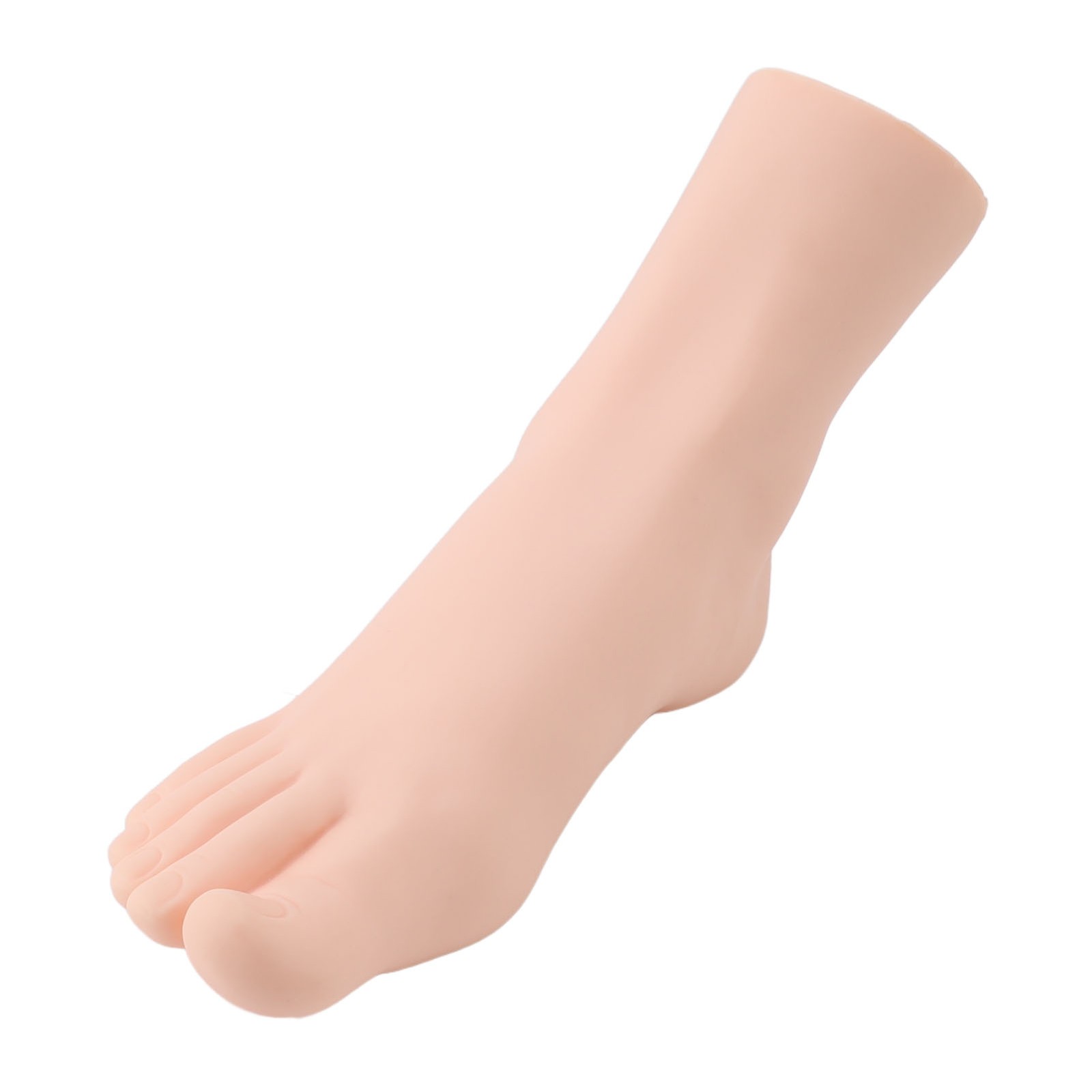 Female Right Foot Mannequin Simulated Feet Model Foot Model For Fo HEN