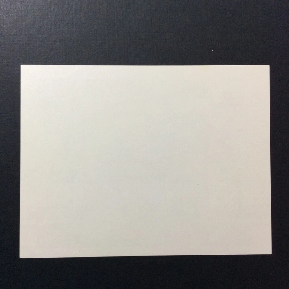 Hoja de recuerdo BroadviewStamps Turkmenistán #23. MNH F-VF. Pequeña huella digital. Foto 2 de 2