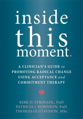Inside This Moment: A Clinician's Guide to Using the Present Moment to Promote R