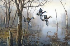 Ceramic Backsplash Tile Mural Waterfowl Bird Kitchen/Bathroom - Backwater