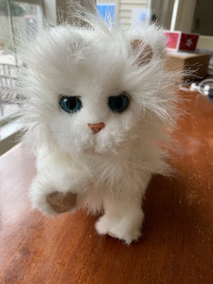 hasbro furreal cat