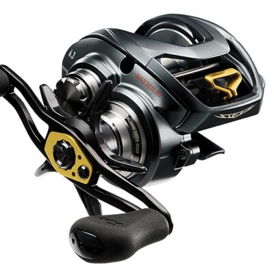 Daiwa Steez-A 100 Baitcasting Reel | eBay
