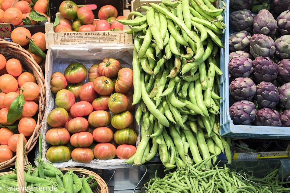 Lente Tamron F1.8 VC 45 mm USD para Canon - negra, F013E Foto 2 de 4