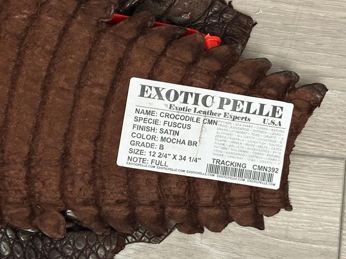 Marrón Genuino Caimán Cocodrilo Vientre Ocultar Cuero Piel Caimán Real Cocodrilo 392 Foto 4 de 4