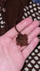 Picture 5 of 8