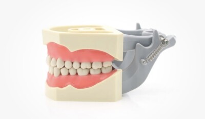 Tooth Repair Kit Plain Replacement Teeth For ADC Candidate Dental Models - Fits OneDental Jaw & Columbia Teeth For Onedental Jaw Columbia - Foto 4