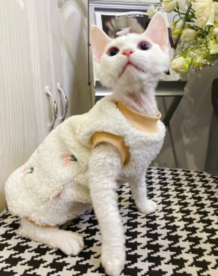 Sphynx/Devon Rex Hairless Cat Winter Tulip sweater Size M | eBay