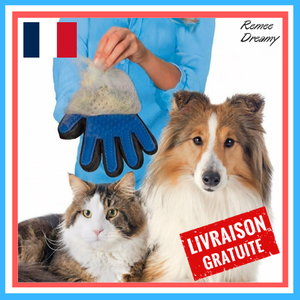 Détails Sur Gant Brosse De Toilettage Gant Massage Brosse Enlève Les Poils Chien Chat Gant