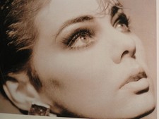 SANDRA   -   MIRRORS !! ( LP ) * 1.D-Pressung * NEAR MINT *