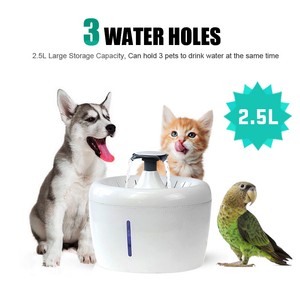 filtered dog water