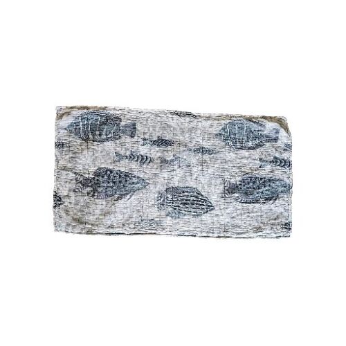 LEVTEX HOME 36 X 19 King Quilted Pillow Sham Fish Blue Gray White Cotton Coastal