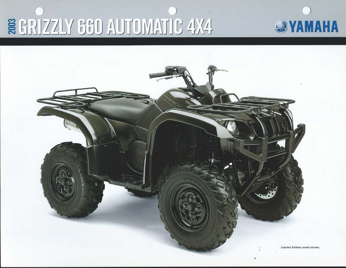 バギー グリズリー660