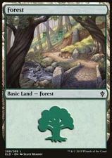 MTG Magic the Gathering Forest (268/477) Throne of Eldraine LP