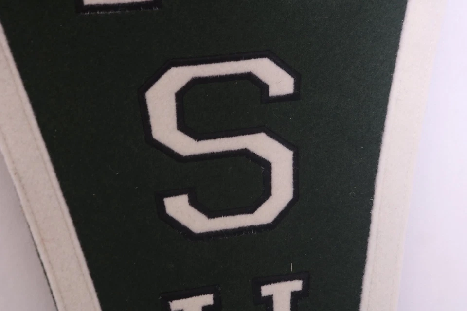 NUEVO Banderín de Lana Bordado Baloncesto MSU Spartans De Colección 40" Michigan State MSU Foto 4 de 4