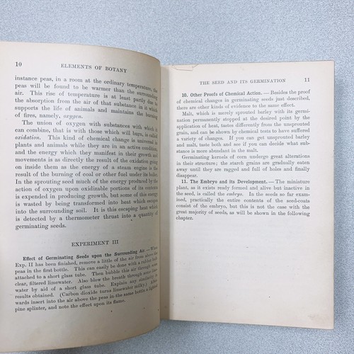 Elements of Botany by Joseph Y. Bergen 1904 Vintage / Antique Book (Re60) - Imagen 8 de 9