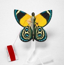 World's Smallest Kite - New assorted colors, WSK, Butterfly 