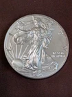 2020 American Silver Eagle $1 Coin 1 oz Silver Uncirculated