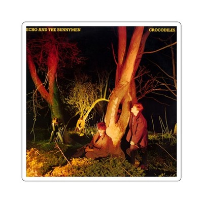 Echo and the Bunnymen  Crocodiles  Sticker | Post Punk New Wave Album Decal