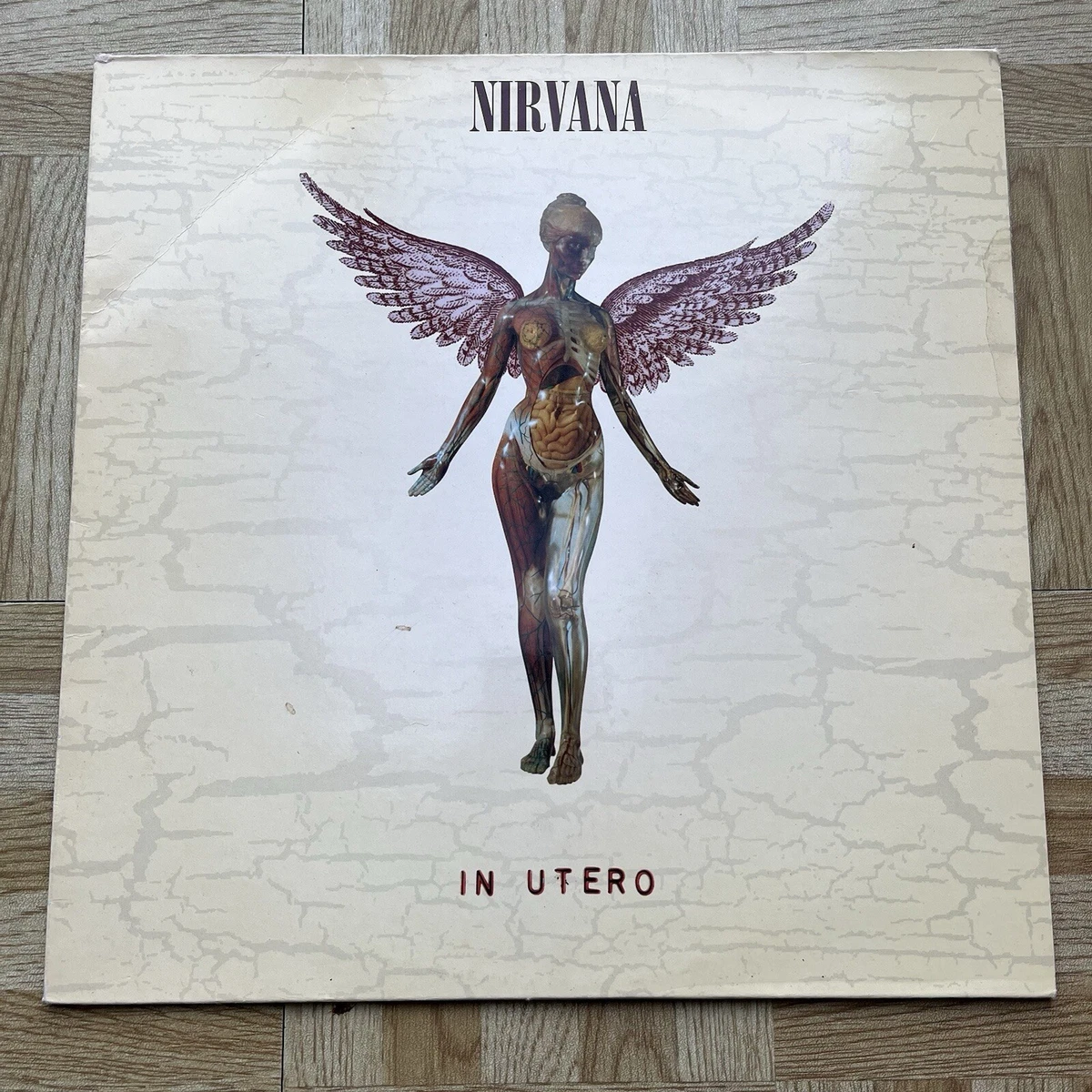 Nirvana Indiana Utero Indiana Vinyl Records for sale - eBay