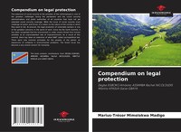 Marius-TréSor Mimolokwa Madigo | Compendium On Legal Protection | Taschenbuch