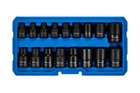 BLUE SPOT TOOLS 17 PCE 3/8" + 1/2" IMPACT E SCOKETS TORX STAR SOCKETS