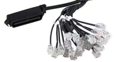 RJ21 MALE RJ21 HYDRA Amphenol Cat3 Telco Breakout Cable to 24 RJ11 3m