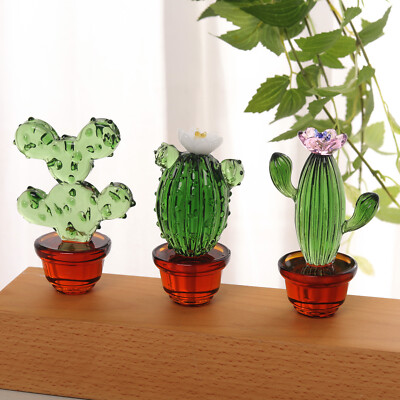calathea standort wohnung Tipps zur Pflege deiner Pflanze : Calathea orbifolia – PflanzenFuerAlle main image 1