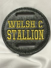 1 X 8cm Green LEATHER  WELSH C Stallion Showing Bridle Disc Badge Disk