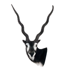 New Delta McKenzie Replacement Black Buck Head