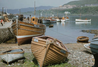 The Harbour At Mallaig Fishing Boats Moored In The Harbour And On - Old Photo