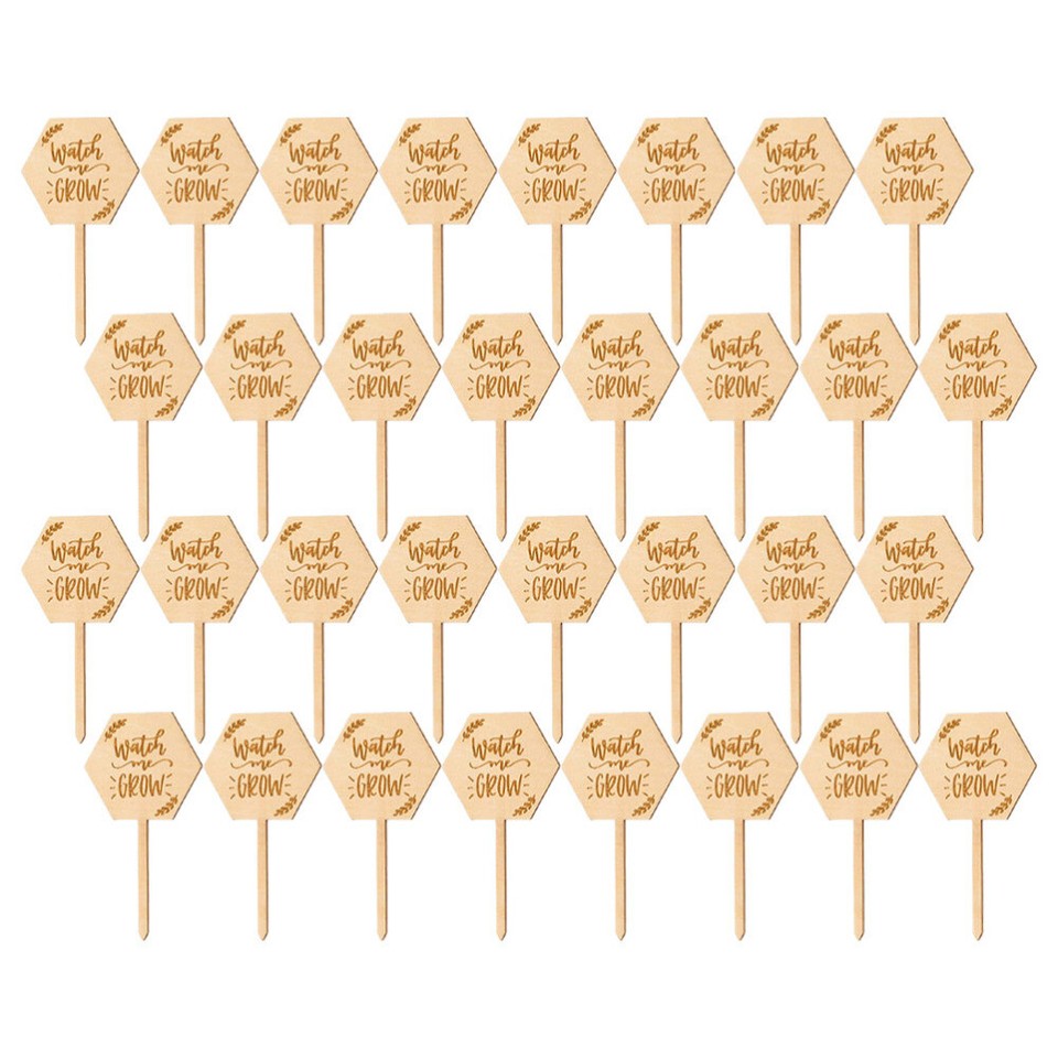 40 Pcs Plant Tags Pot Marker Greenhouse Sign Succulent Card Baby eBay