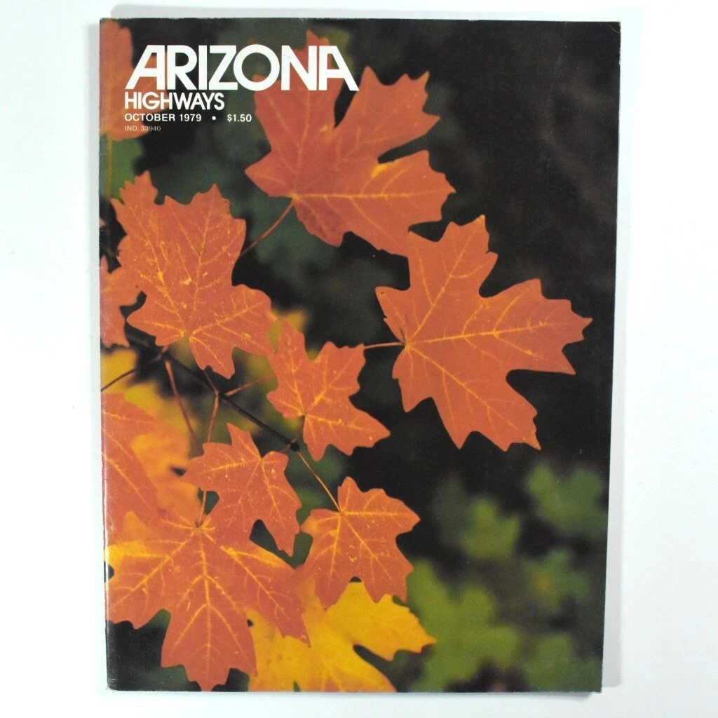 ARIZONA HIGHWAYS 1979年 1年分 アリゾナ 雑誌 アメリカ ARIZONA HIGHWAYS 1979年 1年分 アリゾナハイウェイ 洋書 【公式通販】