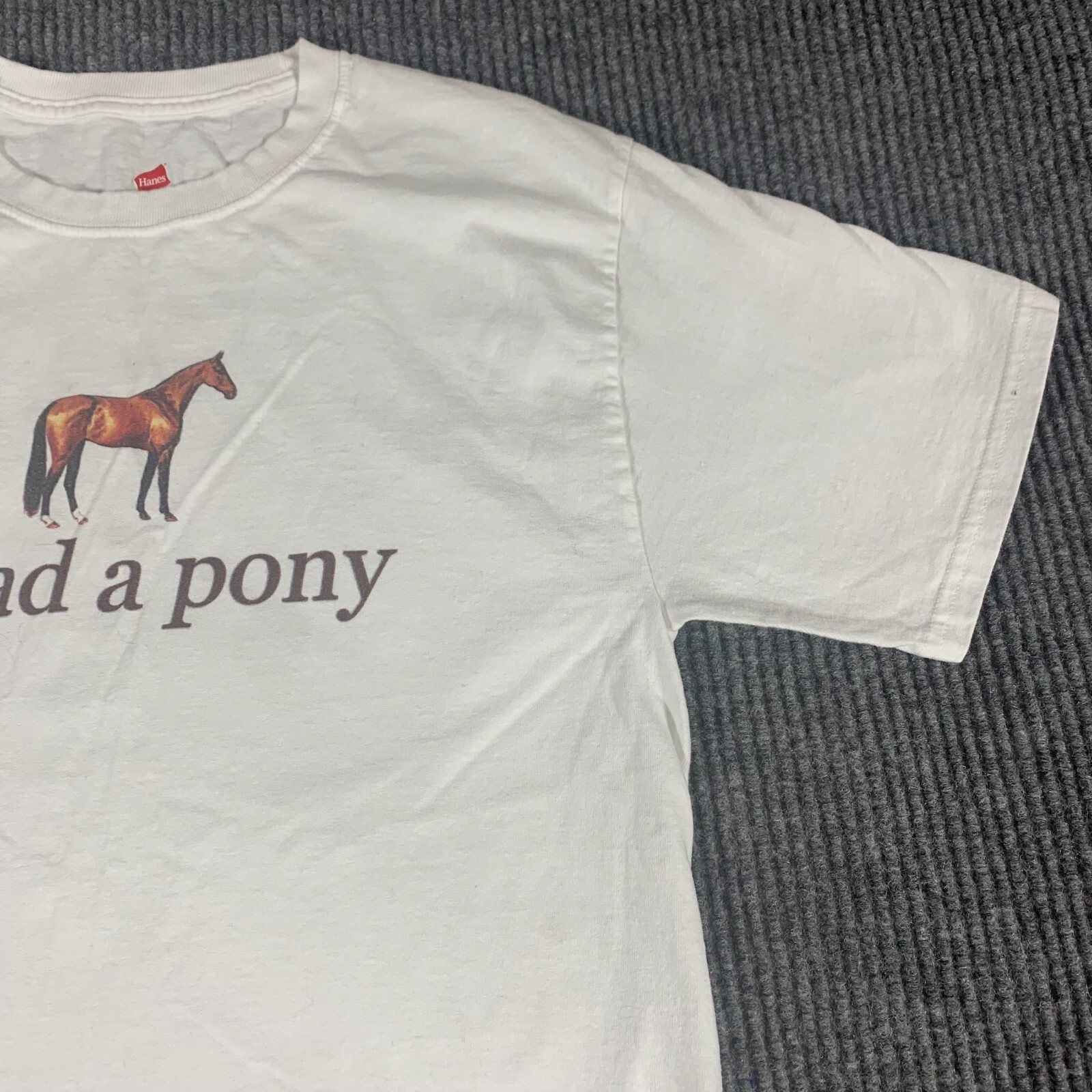 T Shirt Hanes Adulto Medio Bianco I Had a Pony Cavalli Equestre Cotone Casual