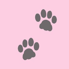 Cat Paw Prints Stencil- Reusable Stencils for Walls - DIY Home Decor