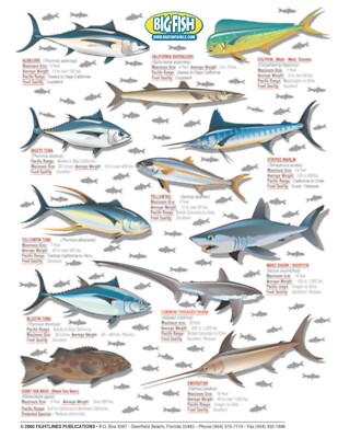 Pacific Coast Fish Identification #15 - Waterproof Quick Reference
