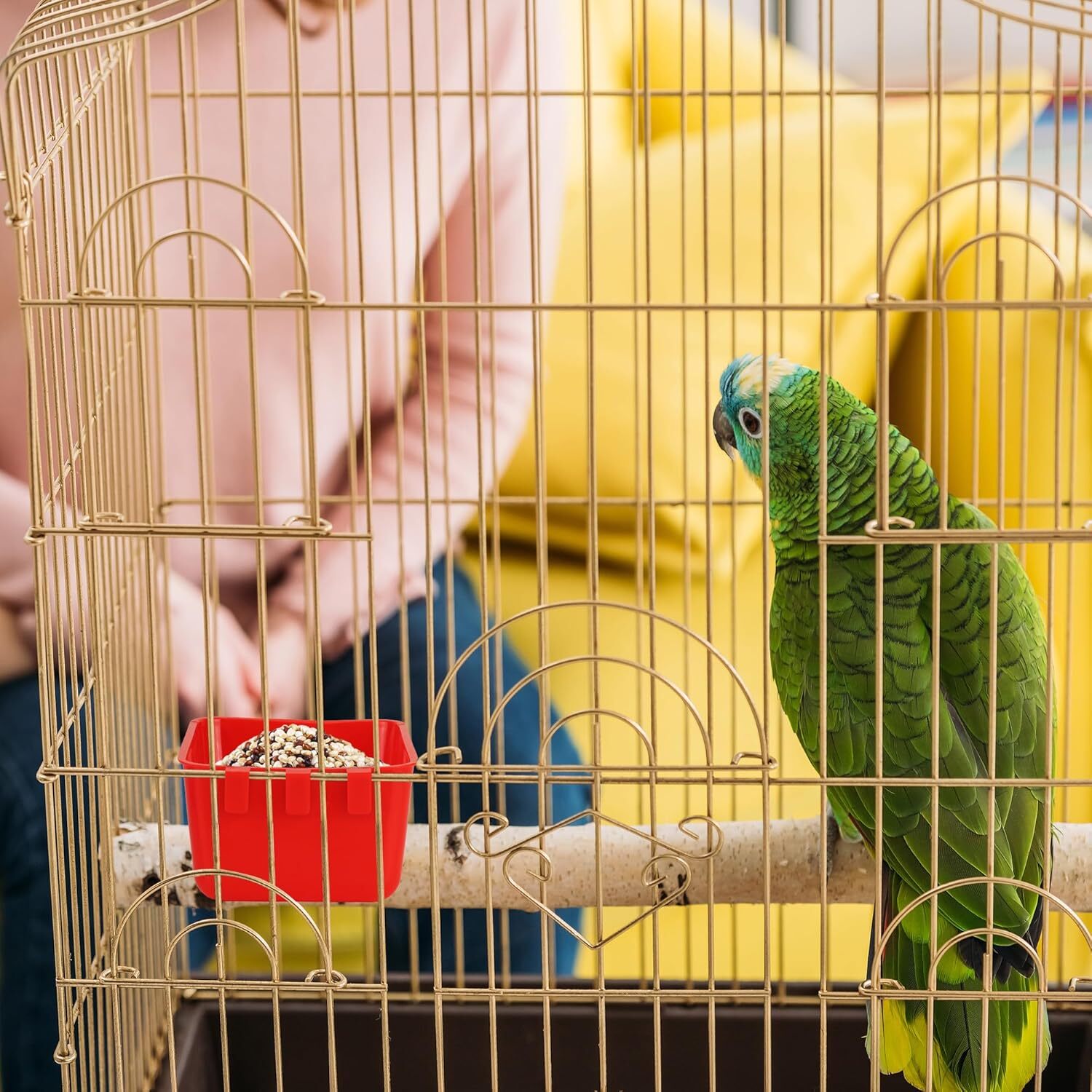 20× Chicken Poultry Hanging Water Feed Cage Cups Rabbit Bird Feeder Bowls Red US