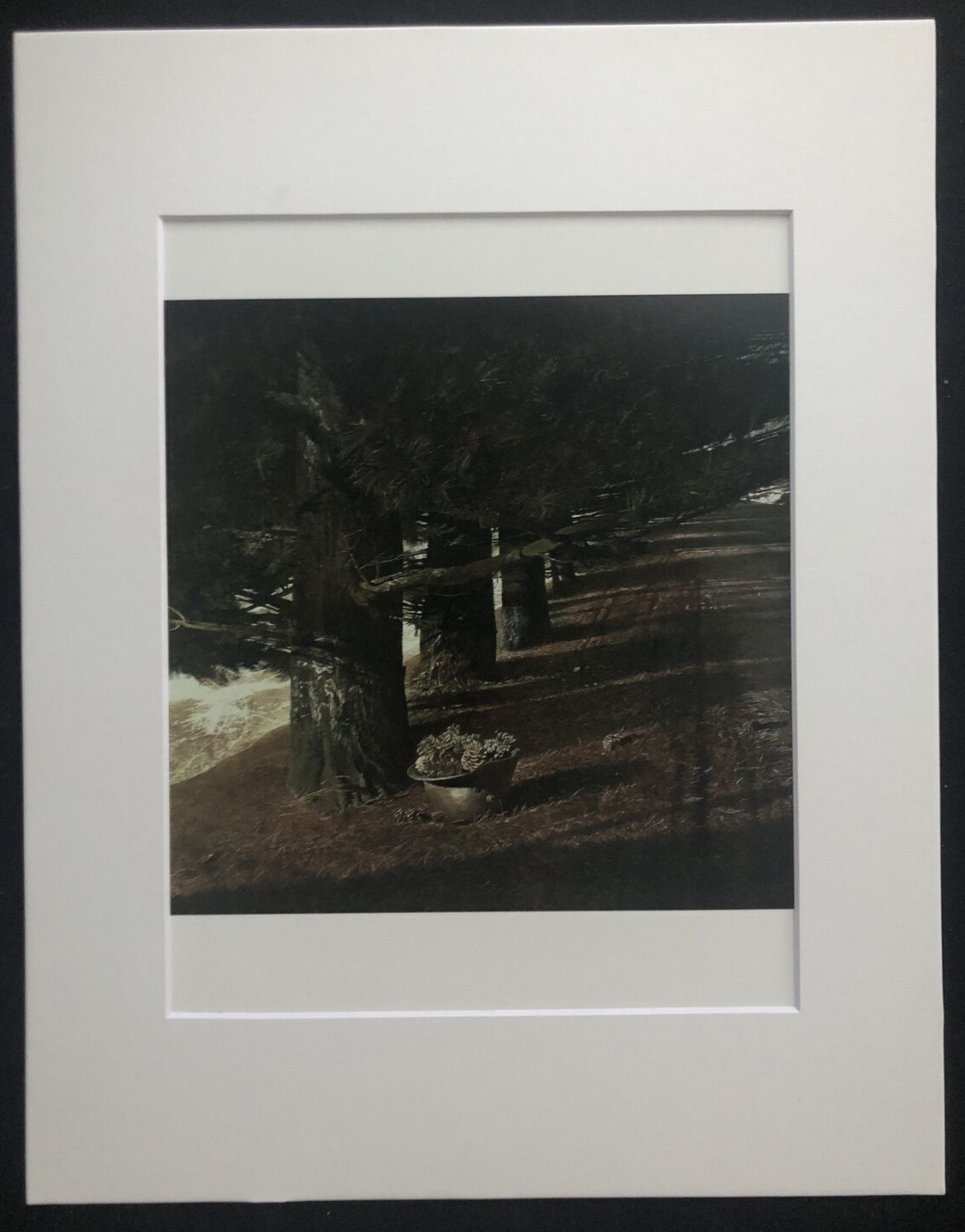 Picture 1 of 4