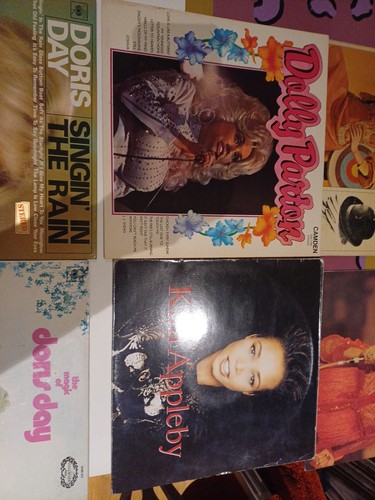 Dolly Parton Dorris Day Kim Appleby Tammy Wynette Vinyl LPs Restposten Land - Bild 3 von 7