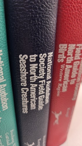 National Audubon Society Field Guide Lot 5 Books Birds Fish Seashore Wildflowers - Foto 8 di 9