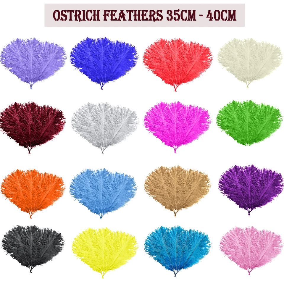 TRIMMING SHOP Premium Beautiful Ostrich Feathers Fly Plume Craft Hat Arts Decorations Party UK