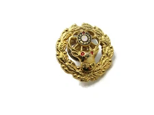 SPOE Lettered Order Of Moose Pin Gold Tone