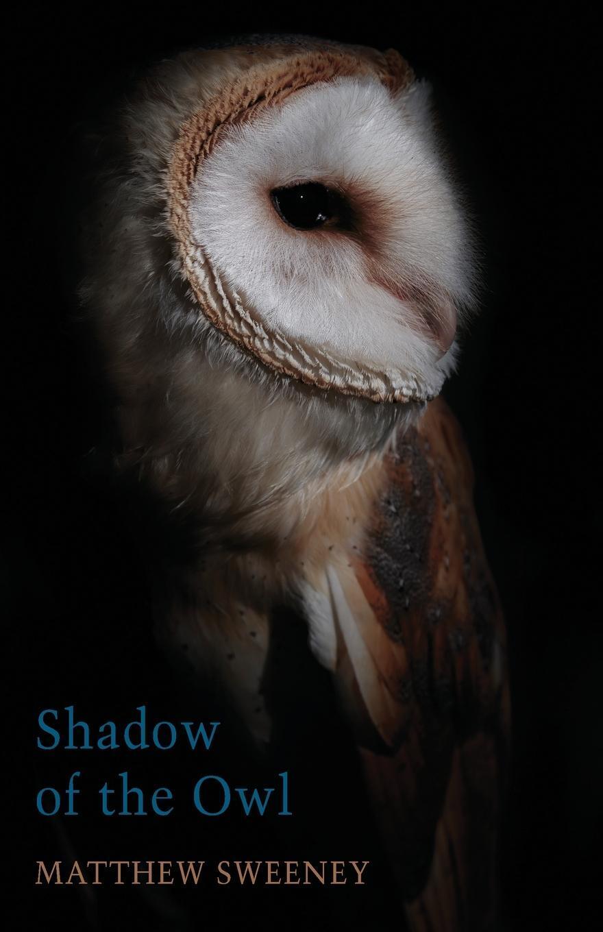 Thumbnail - Matthew Sweeney | Shadow Of The Owl | Taschenbuch | Englisch (2020) |