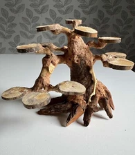 Rainforest Wood- Centerpiece For Aquariums, Terrariums, Vivariums & More!