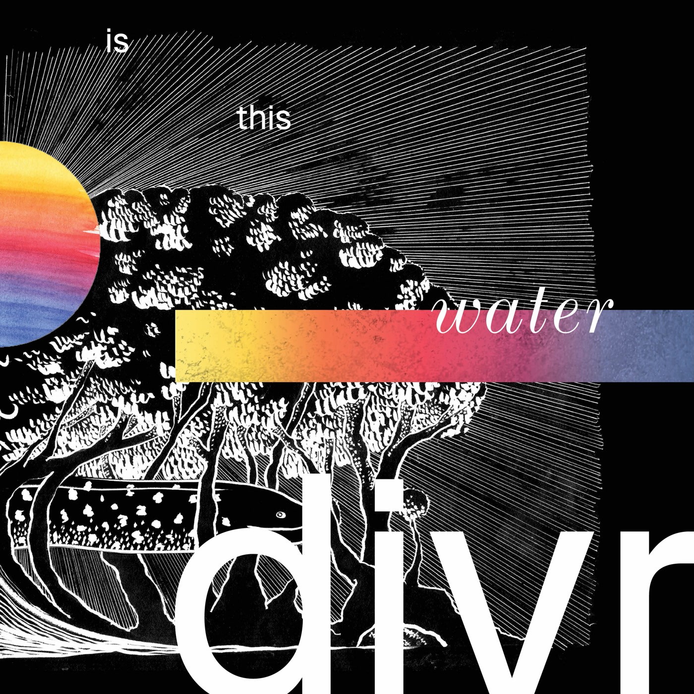 Divr Is This Water LP Vinyl WJLP60 NEW