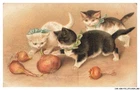 CAR-ADRP19-1041-CATS - Cat Playing With Onions