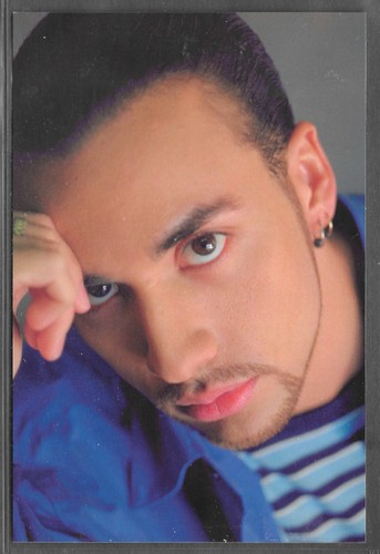 BACKSTREET BOYS 1999 Panini Platinum Edition 4x6 Photocards - #59 HOWIE - Picture 1 of 2