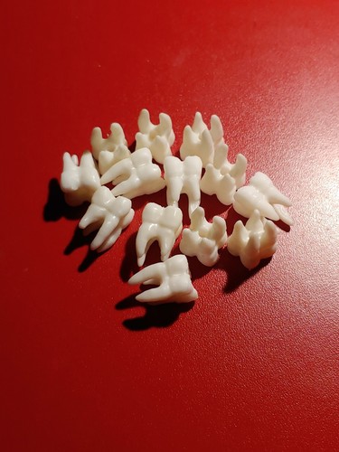 Plastic Teeth with Holes Pack of 10 - Picture 4 of 4