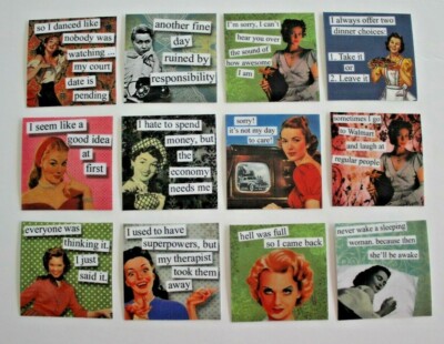 12 Brazen Women Snarky Sayings Refrigerator Fridge Magnets One Dozen Set A