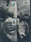 XE59725 Belgium 1969 fish coral sealife maxicards used